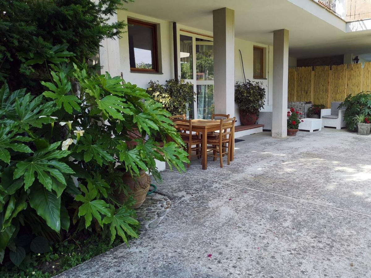 Parte Di Casa Con Giardino E Piscina Villa Pietrasanta Eksteriør bilde