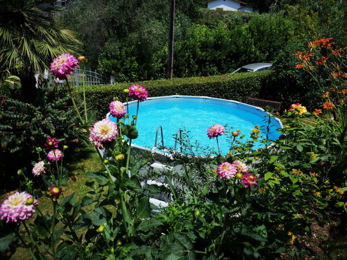 Parte Di Casa Con Giardino E Piscina Villa Pietrasanta Eksteriør bilde